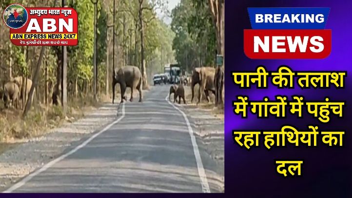 पानी की तलाश में गांवों में पहुंच रहा हाथियों का दल, किसानों की फसलों को कर रहे तबाह, दहशत में ग्रामीण